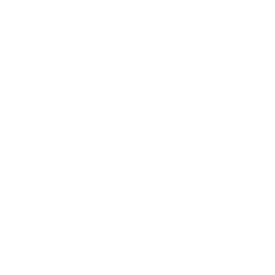 No Antibiotics Icon MANDARIN